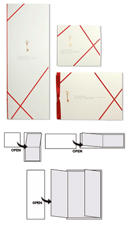 合鍵（aikey） （aikey）