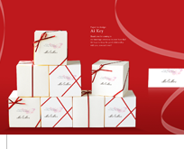 愛鍵(aikey) 愛鍵(aikey)