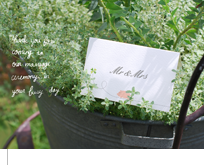 幸福のブタ 幸福のブタ